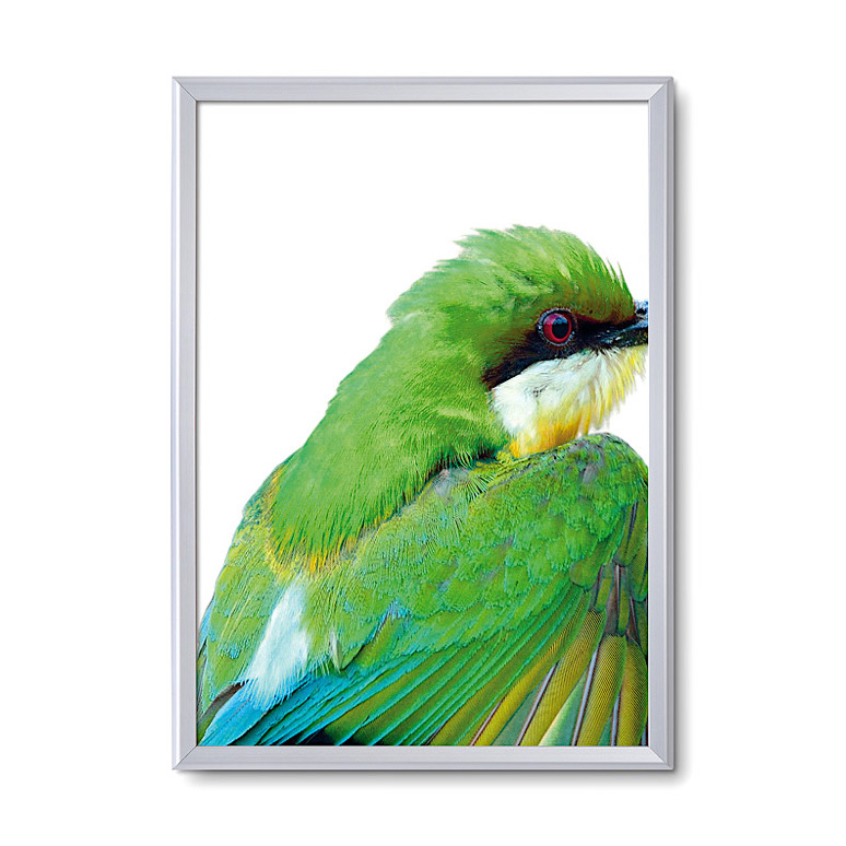 Snap Frame with poster in portrait orientation